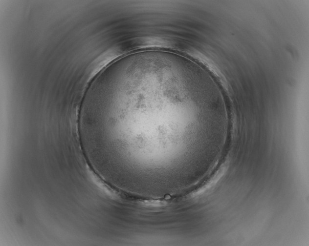 X0000112771137200908201501
