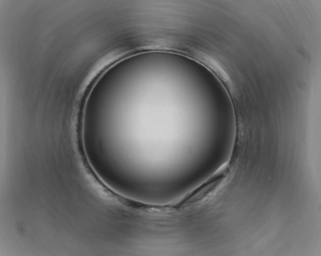 X0000112771138200908201501