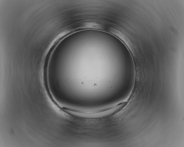 X0000112771139200908201501