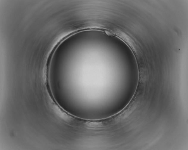 X0000112771140200908201501