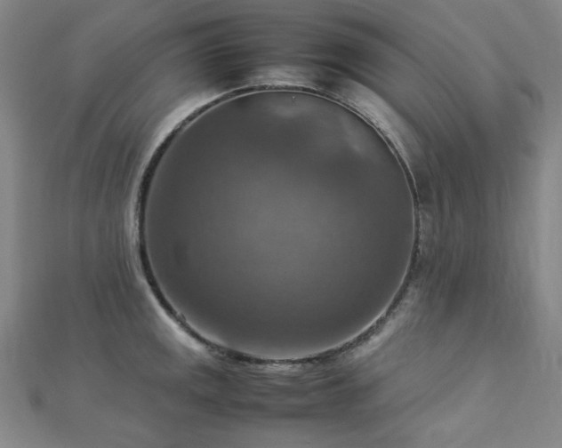X0000112771141200908201501