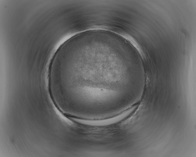 X0000112771143200908201501