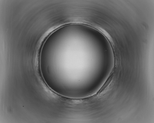 X0000112771144200908201501
