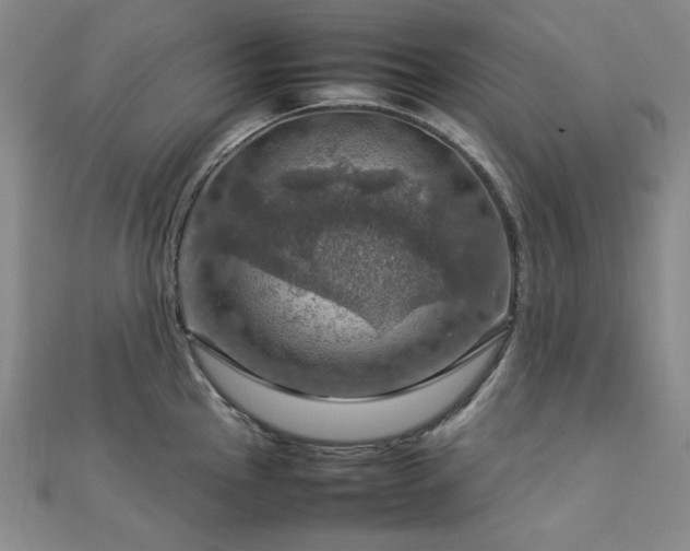 X0000112771145200908201501