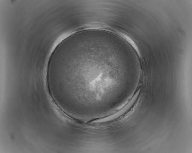 X0000112771146200908201501