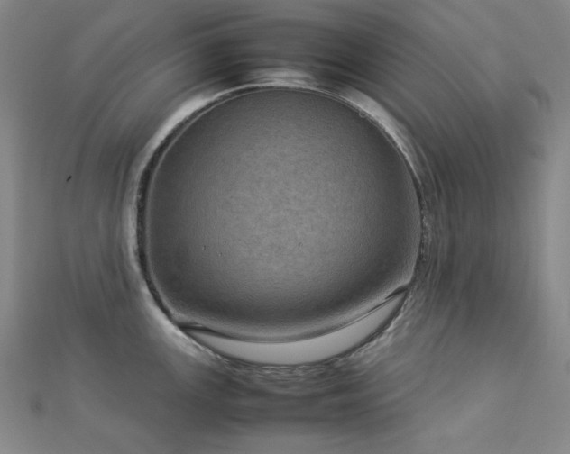 X0000112771147200908201501