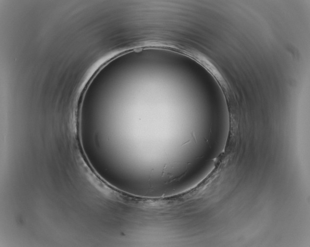 X0000112771148200908201501