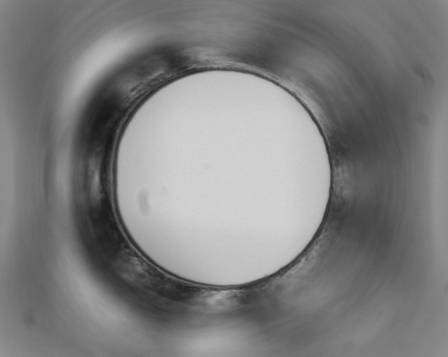 X0000112771150200908201501