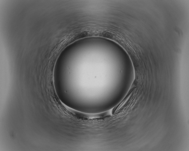 X0000112771153200908201501