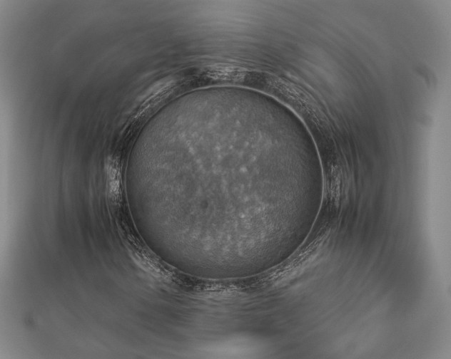 X0000112771154200908201501