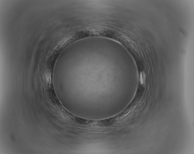 X0000112771155200908201501