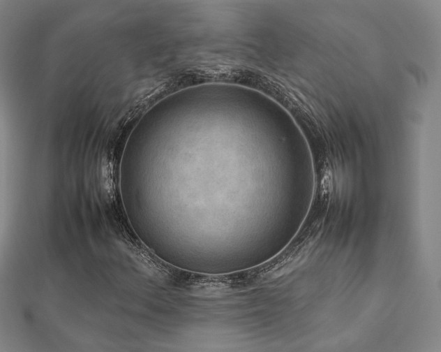 X0000112771156200908201500