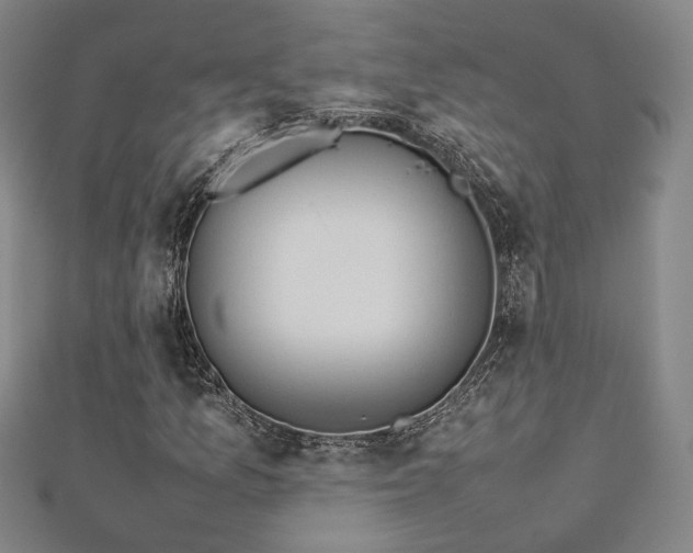 X0000112771157200908201500