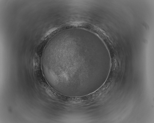 X0000112771158200908201500