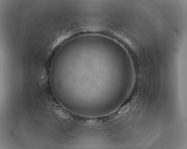 X0000112771160200908201500