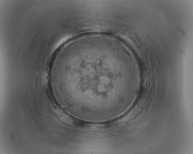 X0000112771163200908201500