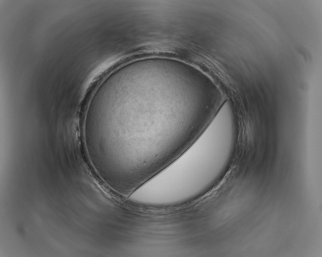 X0000112771164200908201500