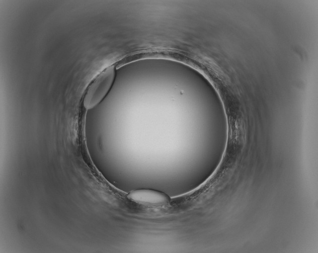 X0000112771165200908201500