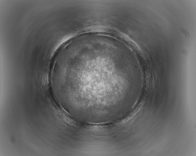 X0000112771166200908201500