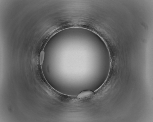X0000112771169200908201500