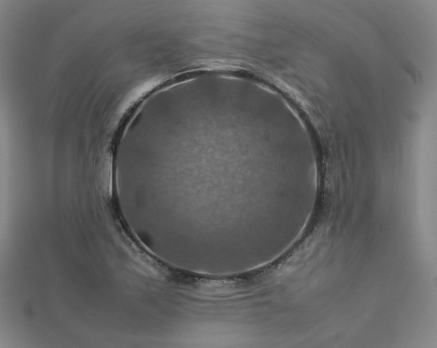X0000112771171200908201500
