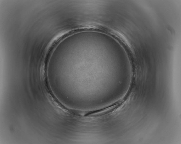 X0000112771172200908201500
