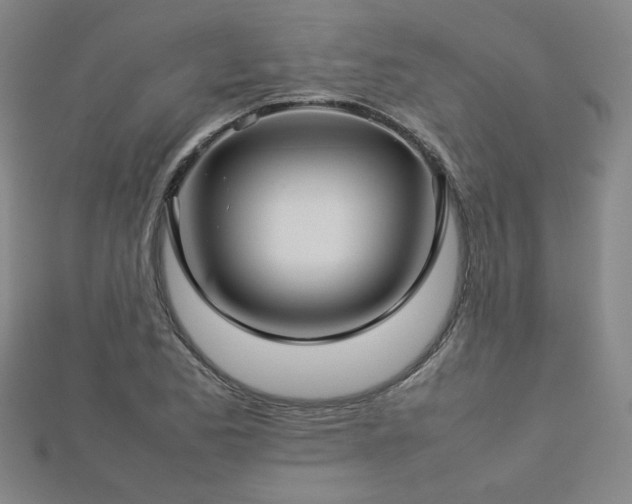 X0000112771173200908201500