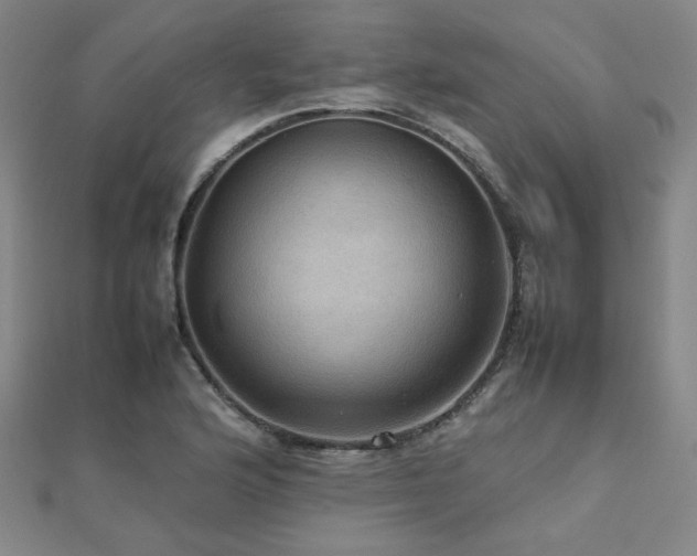 X0000112771176200908201500