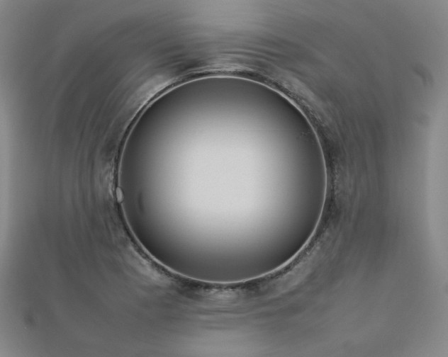 X0000112771177200908201500