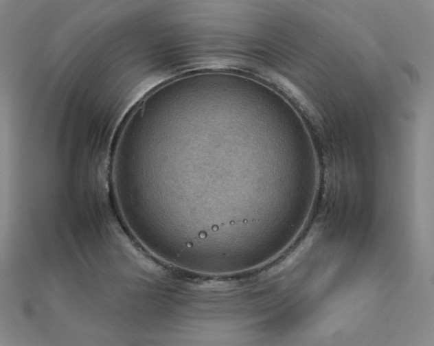 X0000112771178200908201500