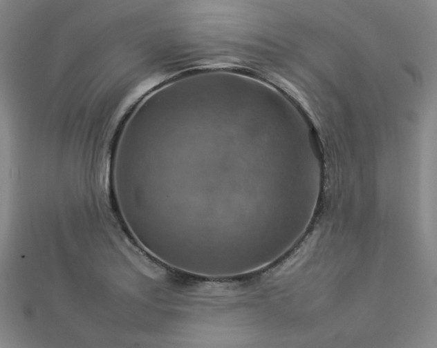 X0000112771179200908201500