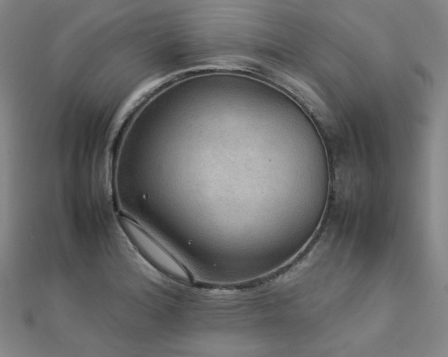 X0000112771180200908201500