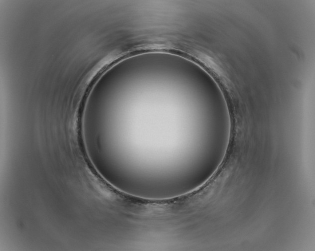 X0000112771181200908201500