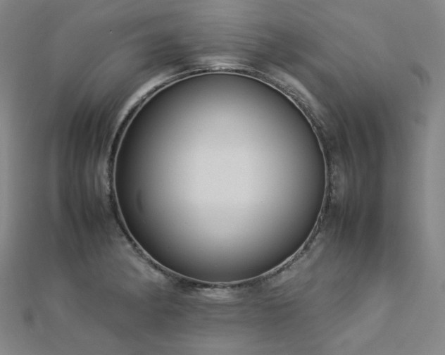 X0000112771182200908201500