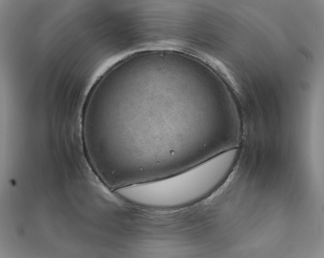 X0000112771184200908201500