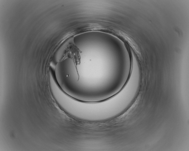 X0000112771185200908201500