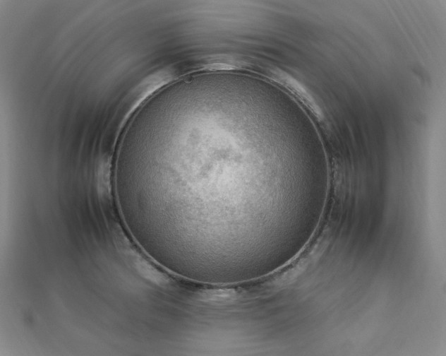 X0000112771186200908201500