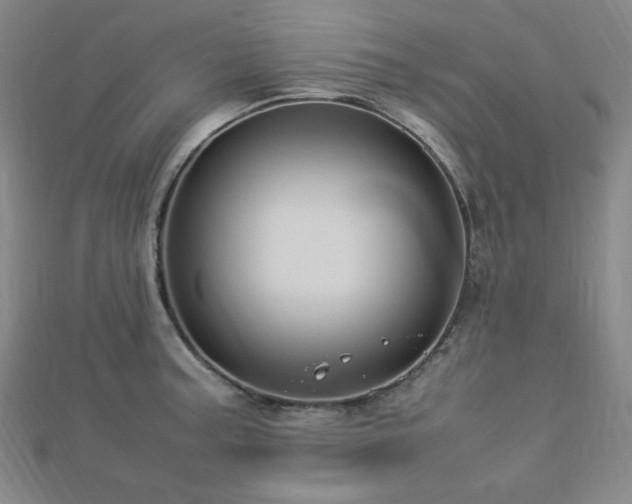 X0000112771187200908201500