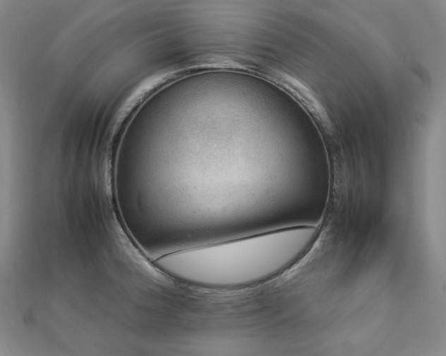 X0000112771188200908201500