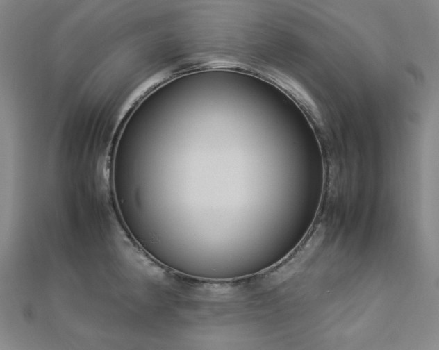 X0000112771190200908201500