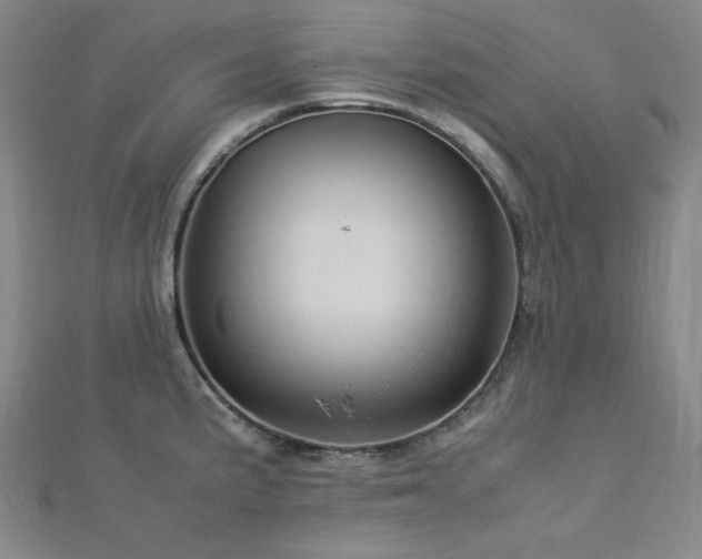 X0000112771191200908201500