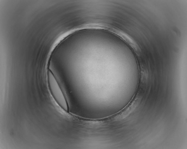 X0000112771192200908201500