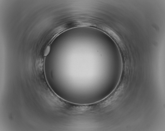X0000112771193200908201500