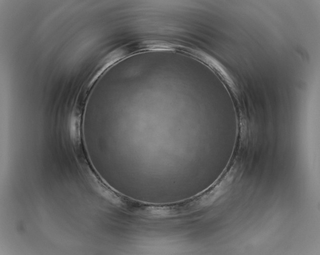 X0000112771194200908201500