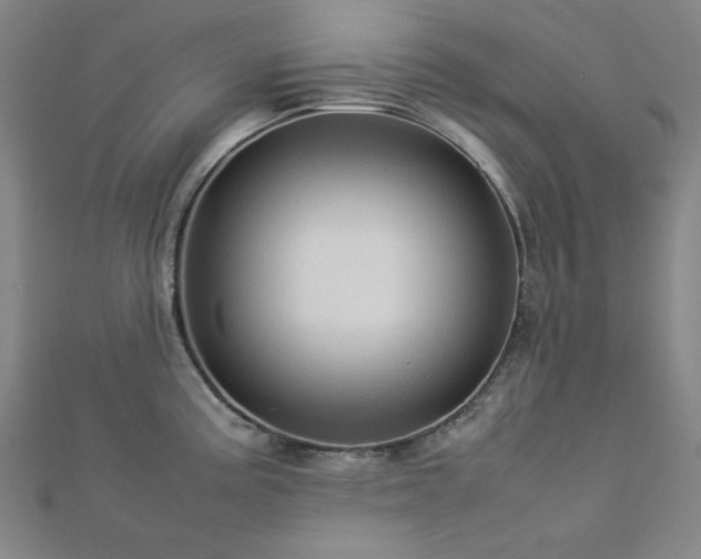 X0000112771195200908201500