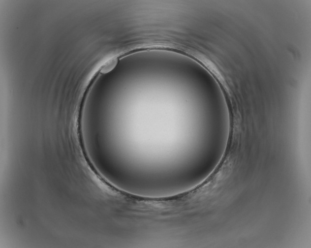 X0000112771197200908201500