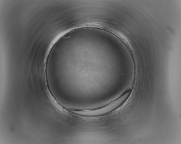 X0000112771200200908201500
