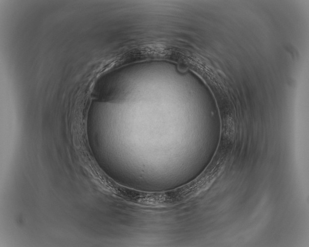 X0000112771201200908201459