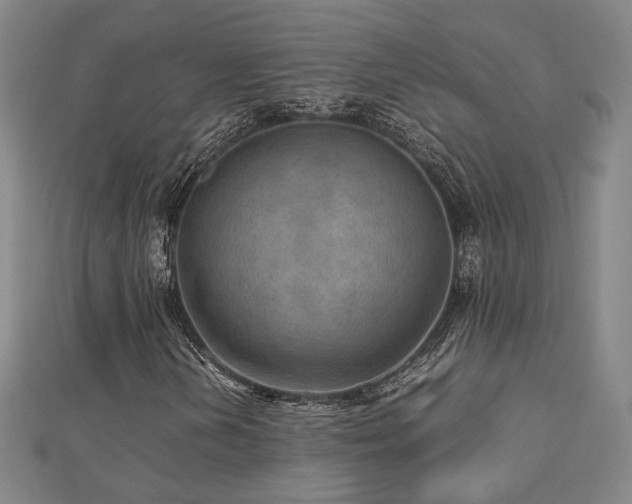 X0000112771202200908201459