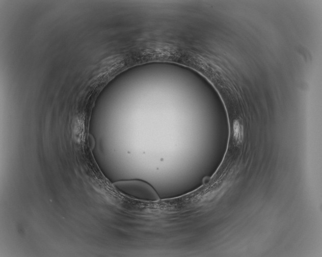 X0000112771203200908201459